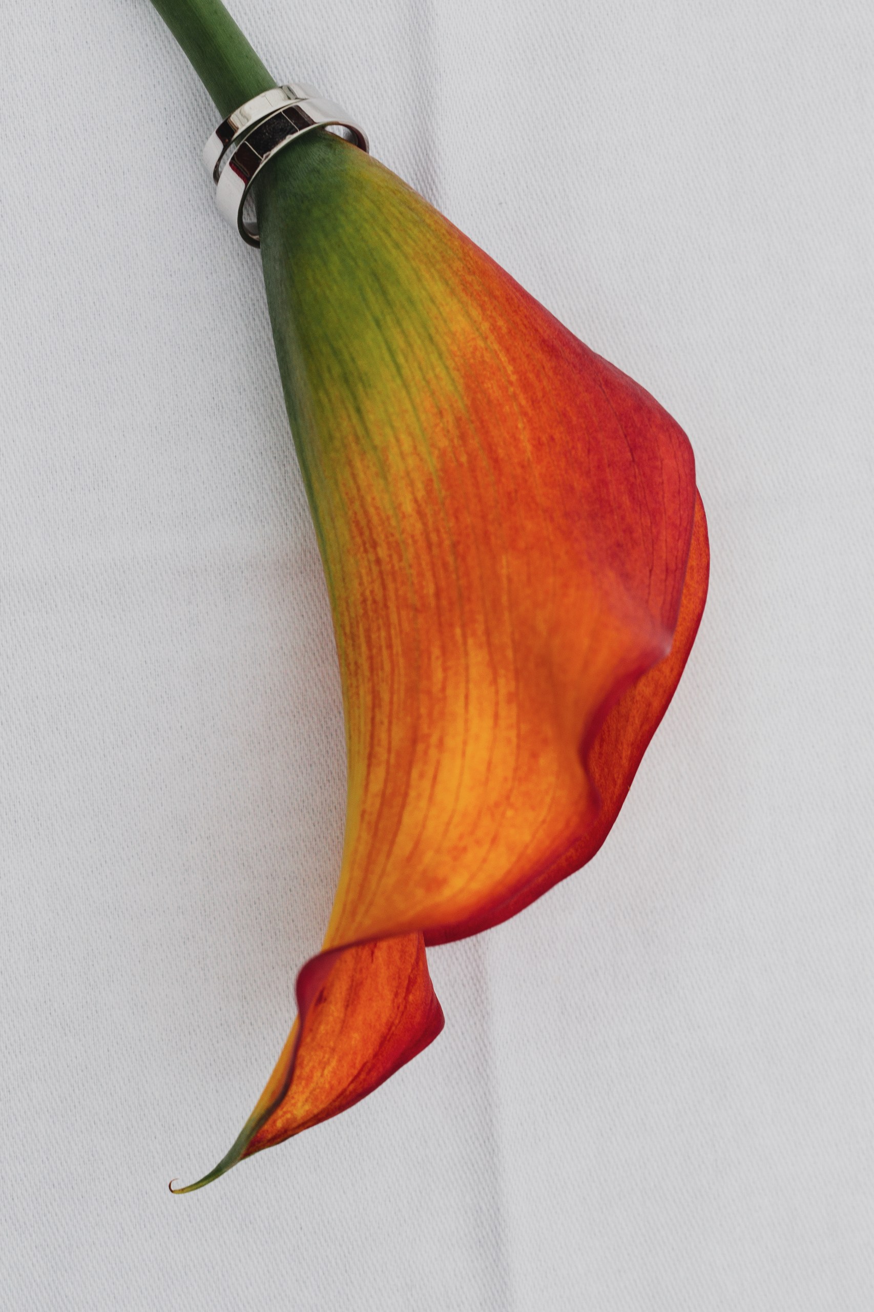 Svatba petra praha krenek 0925