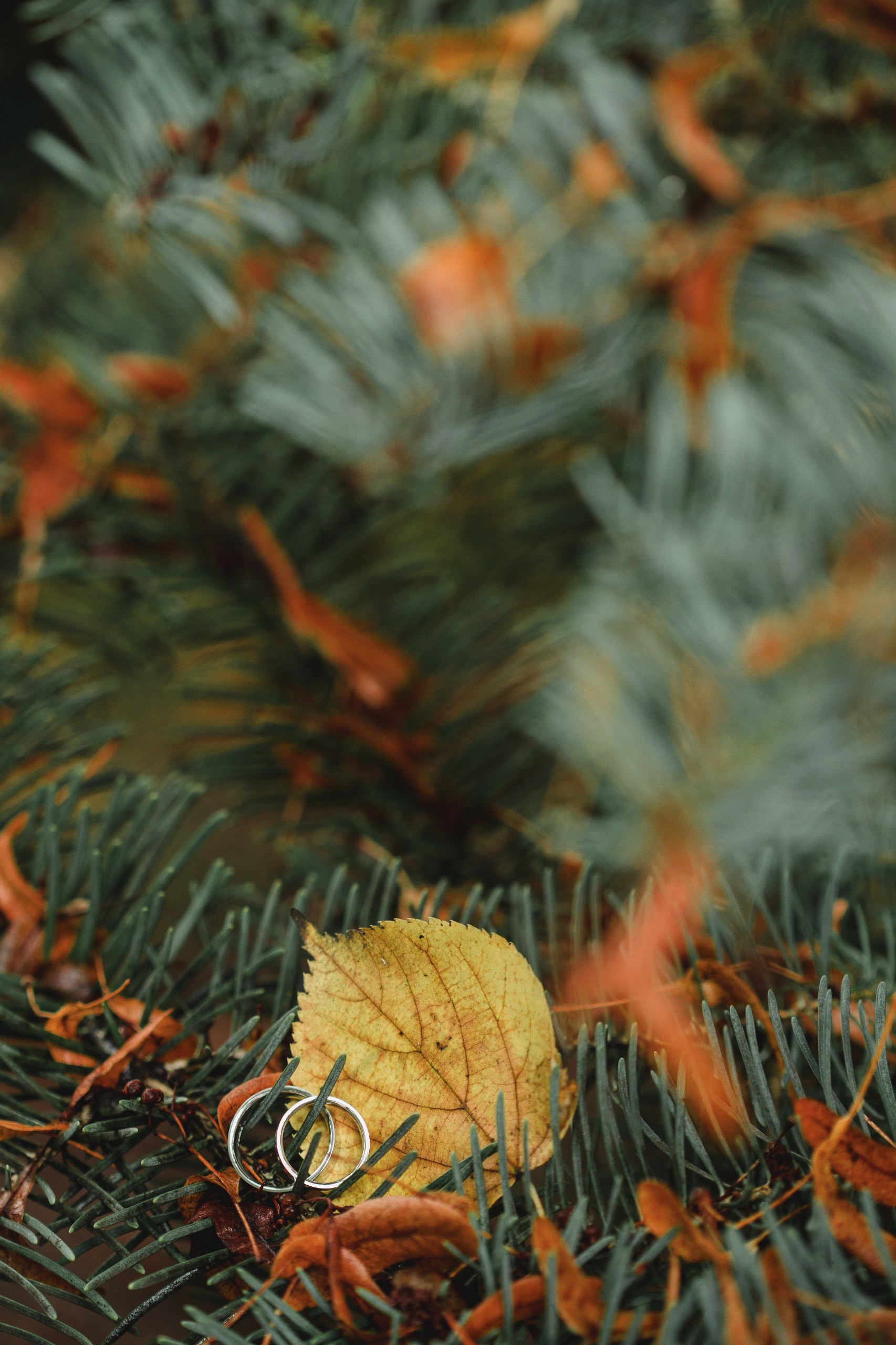 Svatba petra praha krenek 0952